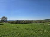 Ausblick vorne - 