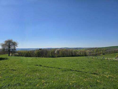 Ausblick vorne - 