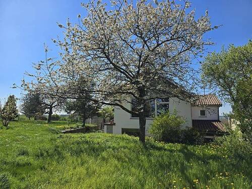 Rückansicht 3 - Einfamilienhaus mit 165,00 m&sup2; in Zweifelscheid zum Kaufen