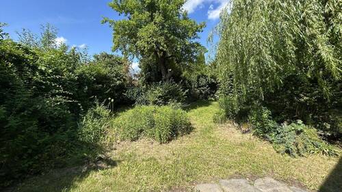 Blick in den Garten - 