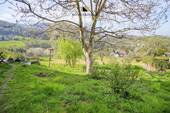 Erholung im Garten... - 