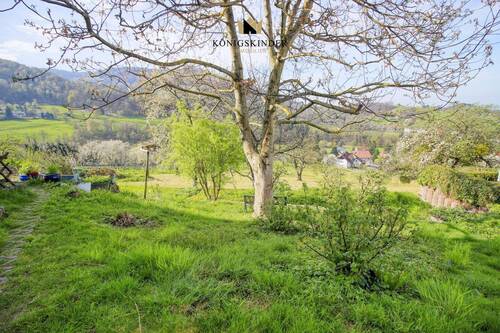 Erholung im Garten... - 