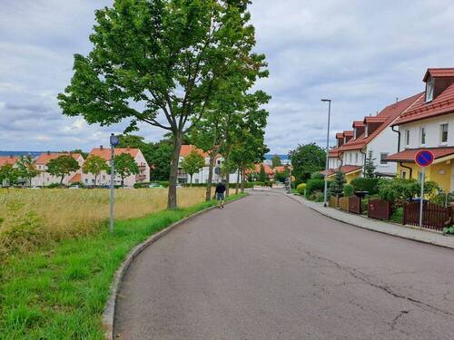 Blick vom Haus - 