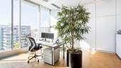 Büroraum 46,2 m² - Büro zur Miete in München