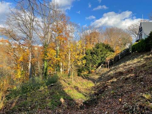 Untere Terrasse (1) - 