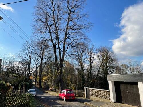 Sackgasse (1) - Grundstück zum Kaufen in Dresden