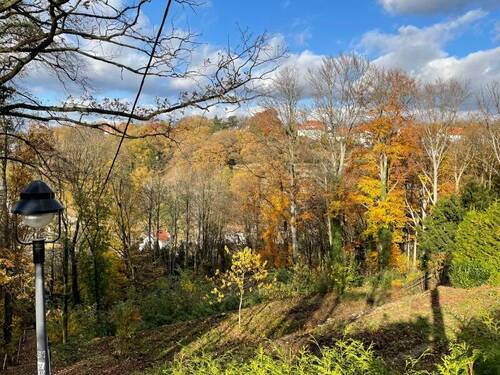 Blick nach Norden (2) - 