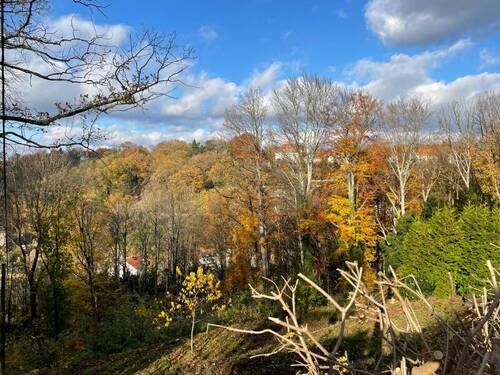 Blick nach Norden (4) - 