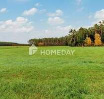 8,79 ha: Großflächiges Areal für Landwirtschaft, Forst und Neugestaltung - Abenberg Ebersbach