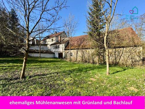 Titelbild - ehemalige Mühle, und großzügiger Grünfläche - Selbstversorger -Land- und Forstwirtschaftliches Anwesen mit 4 Wohnungen, Scheune und Nebengebäuden
