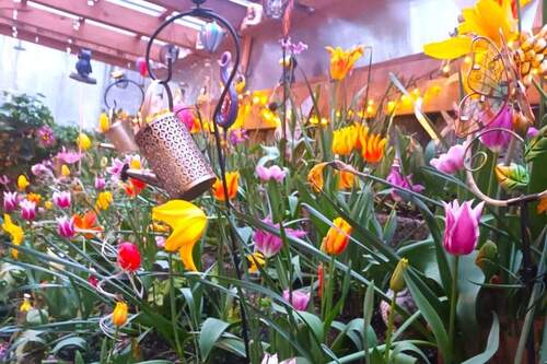 Blütentraum zu jeder Jahreszeit - 