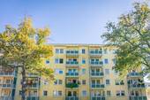Hausansicht - Helle 4-Raum-Wohnung auf dem Kaßberg
