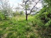 Garten mit Obstbaumbestand - 