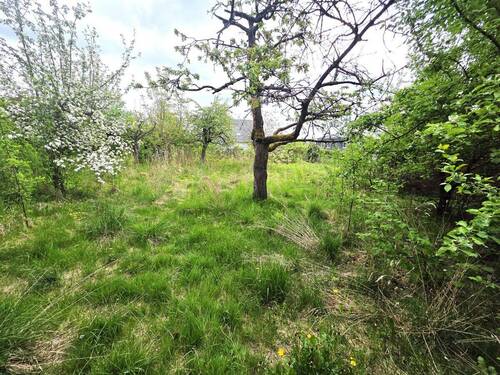 Garten mit Obstbaumbestand - 