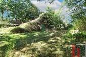 Stall/Garage - Einfamilienhaus mit 239,30 m² in Lohne zum Kaufen