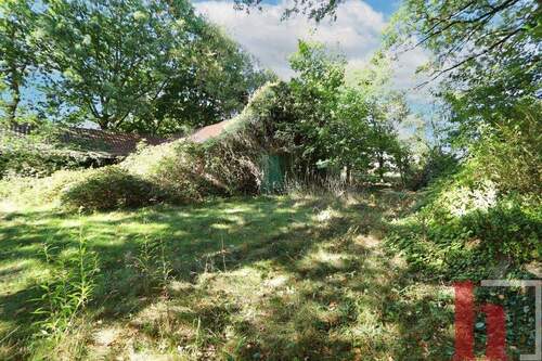 Stall/Garage - Einfamilienhaus mit 239,30 m² in Lohne zum Kaufen