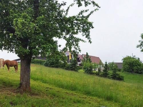 Blick zum Grundstück - Dorfhain - Grundstück mit freiem Blick