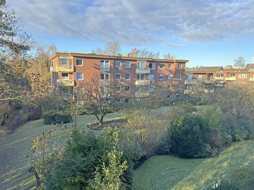 Blick in den Garten - 