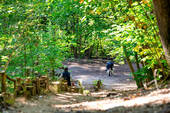 Gruenewald - 