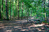 Gruenewald - 
