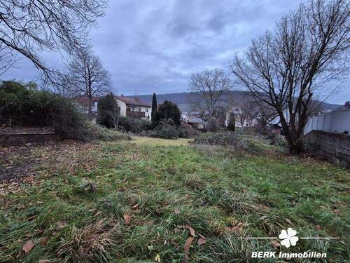 Grundstück - Grundstück in Klingenberg am Main