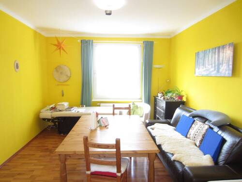 BLICK IN DAS WOHNZIMMER - 