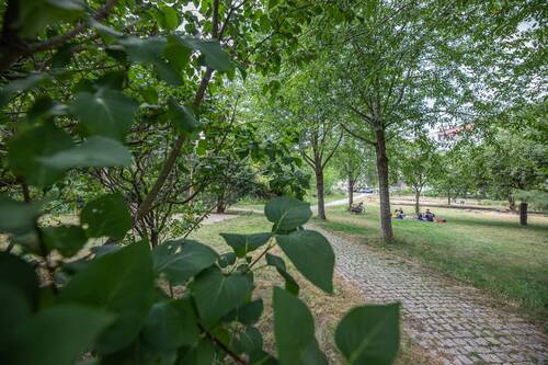 Umgebung Möbiusplatz - 