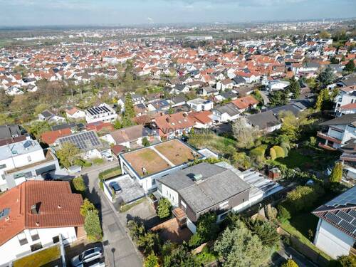 Blick in die Ebene - Grundstück in Nußloch