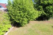 Bild 21 - 