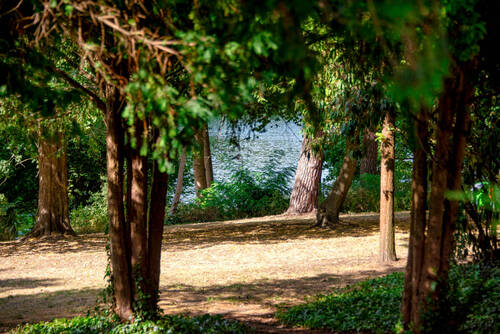 Schlachtensee - 