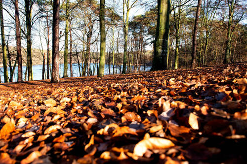 Schlachtensee - 