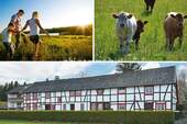 Immobilien-Monschau-MFH-kaufen-RW704-09 - PHI AACHEN - Historisches Fachwerkhaus mit modernem Wohnkomfort! Drei renovierte Wohnungen in Konzen!