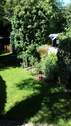Blick in den Garten 1 - 