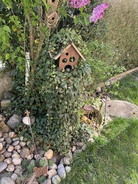 Garten - 