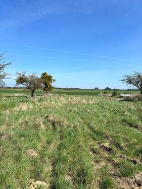 Grundstück - Einfamilienhaus mit 145,00 m&sup2; in Schönwalde-Glien zum Kaufen
