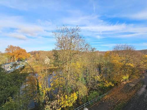 Ausblick vom Wintergarten - 