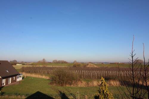 Blick zur Elbe vom DG - 