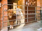 Sag Hallo - 