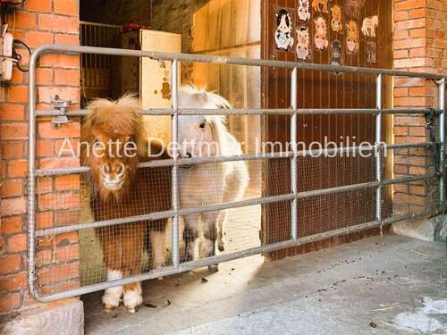 Sag Hallo - 
