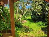 Blick in den Garten - 