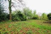 Gartenblick im Frühjahr - 