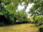 Gartenblick im Sommer - 