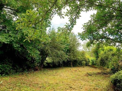 Gartenblick im Sommer - 
