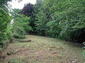 Blick vom Garten in Richtung Zufahrt - 