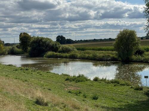 Blick vom Deich - 
