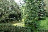 Gartenteil - 3 Zimmer Etagenwohnung zur Miete in Gelsenkirchen