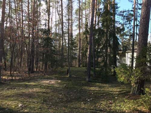 Blick ins Grundstück - 