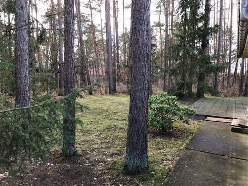 Blick ins Grundstück - 