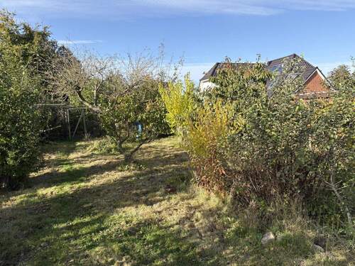 Blick in den Garten - 