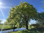 Aussicht - 